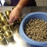 Conserves de 4 douzaines d'escargots au court-bouillon